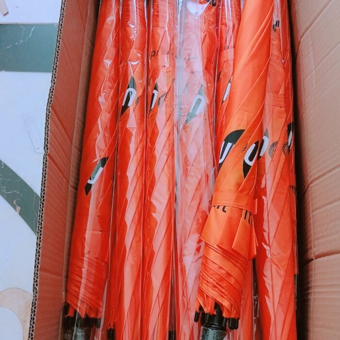 Copy of 27-10-2023_1698391777_88873MWNIC0P1EFZLKI