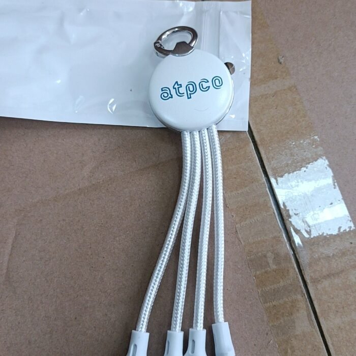 Copy of Copy of 10-01-2025_1736479817_84e13cc6a85a9c0305408136a763c4ce