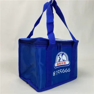 Insulated Foldable Cooler Bag