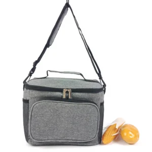 Eco-friendly Insulated Lunch Tote Bag