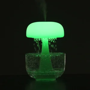 Rain Cloud Ultrasonic Humidifier with Night Light