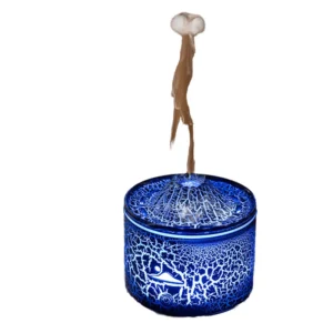 Usb Ultrasonic Humidifier with Led Night Lamp