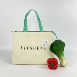 Large Insulated Portable Tote Bag