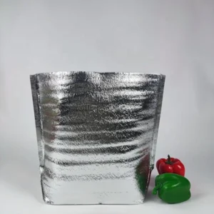 Insulated Food Cooler Bag with Zipper