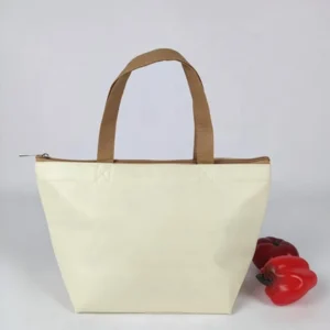 Eco-friendly Insulated Cooler Bags