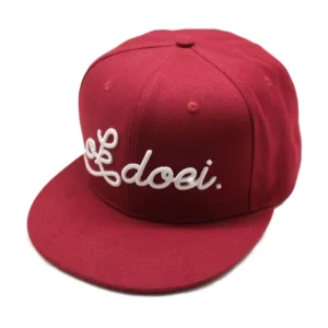 3d Embroidery Snapback Hat