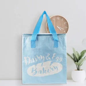 Sky Blue Insulated Picnic Cooler Bag